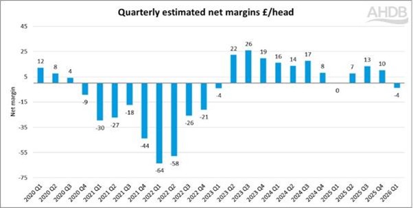 graph showing pig net margins